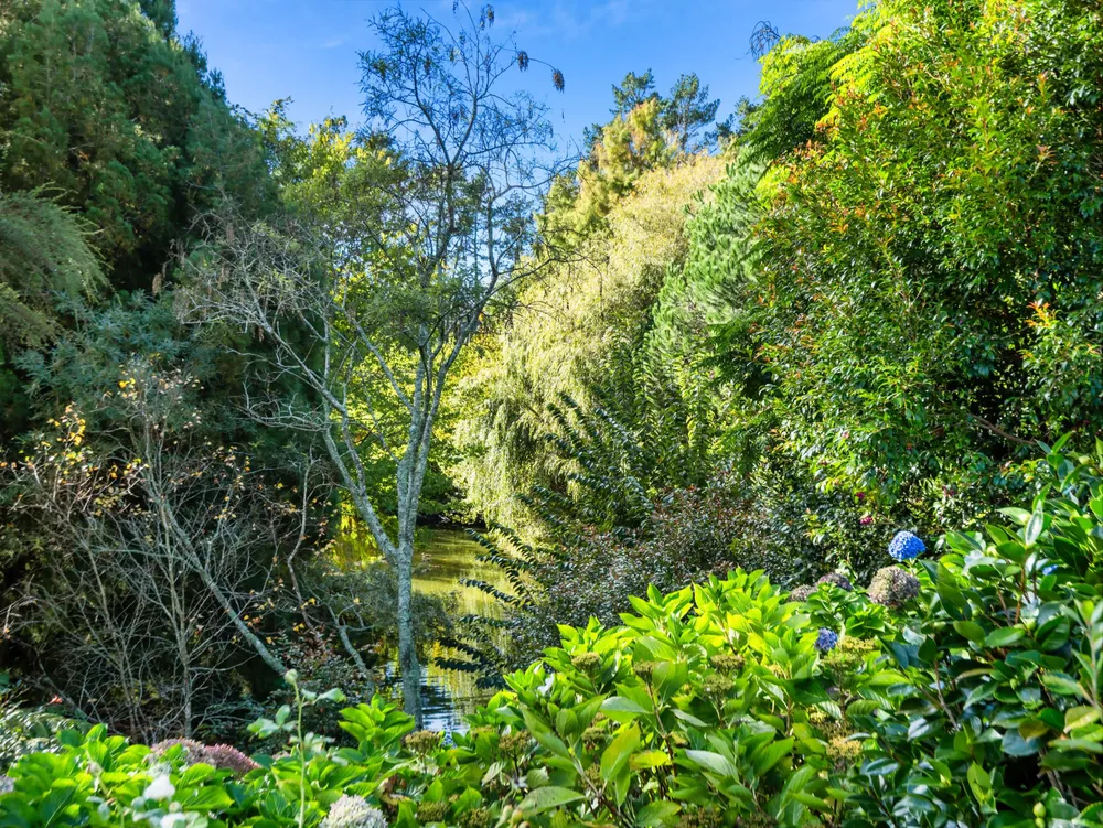 Photos of 93 Upland Road