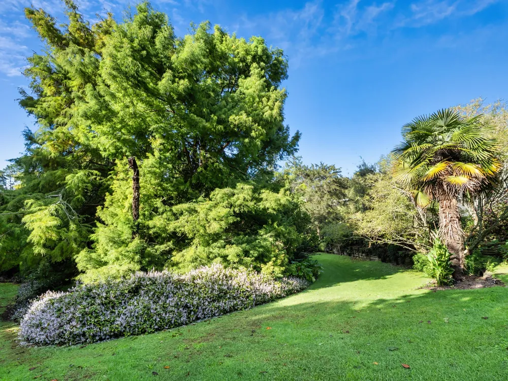 Photos of 93 Upland Road