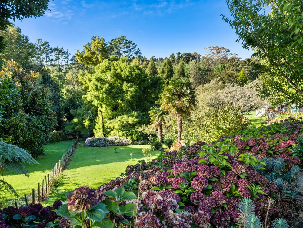 Photos of 93 Upland Road