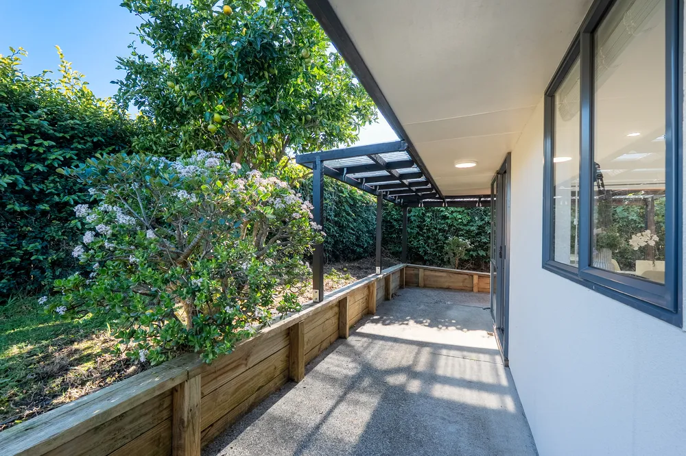 Photos of 10 Frank Bunce Grove
