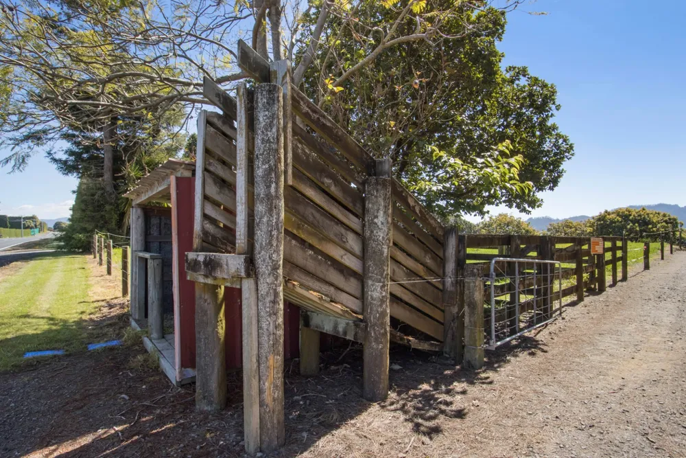 Photos of 155 Ongare Point Road