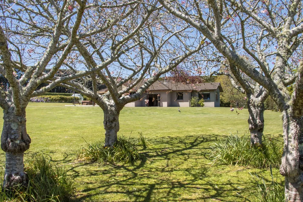 Photos of 155 Ongare Point Road