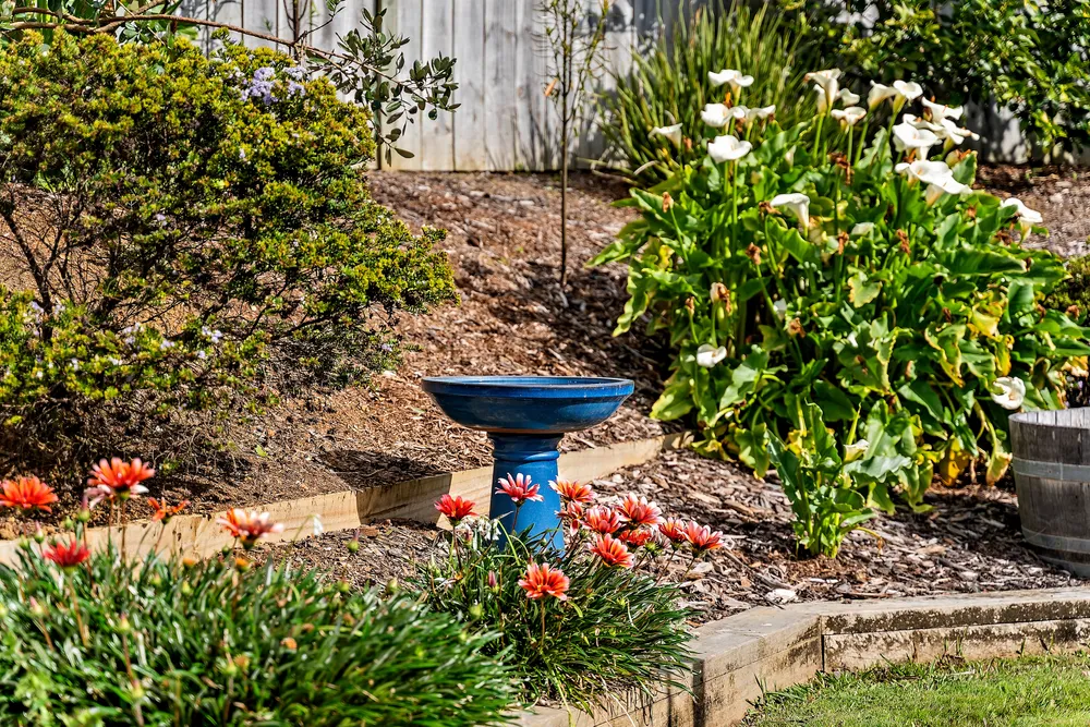 Photos of 29 Lippiatt Crescent