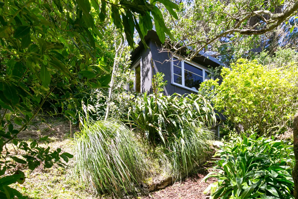 Photos of 335 Ohiro Road