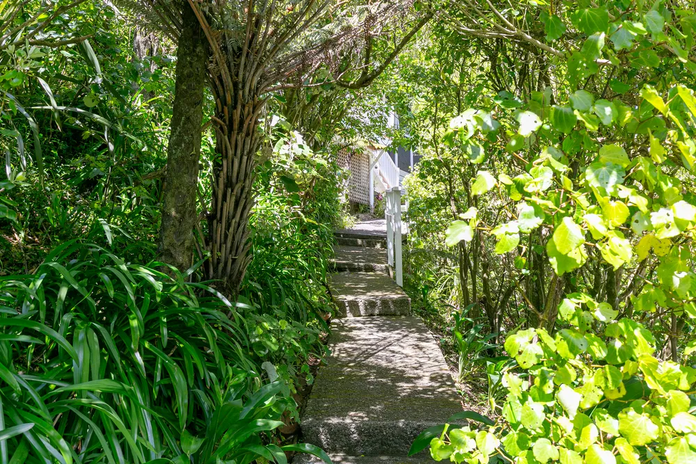 Photos of 335 Ohiro Road