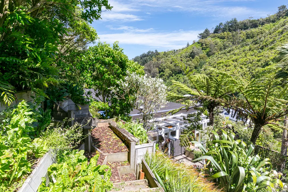 Photos of 335 Ohiro Road