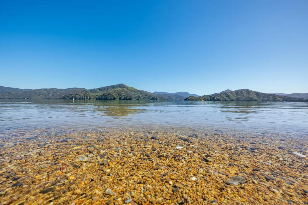 Photos of 2787 Queen Charlotte Drive
