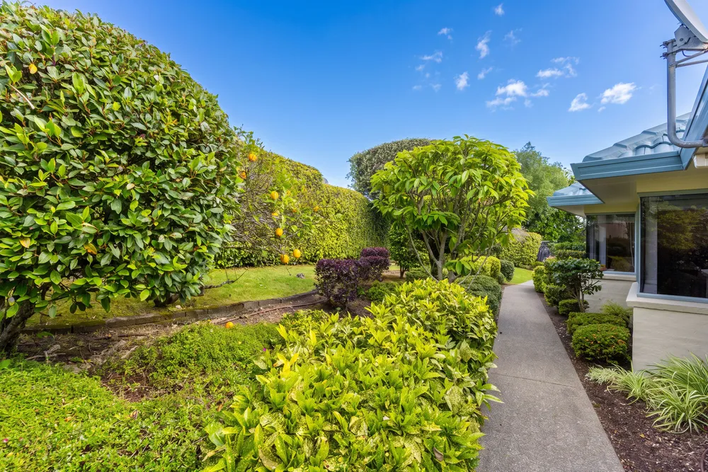Photos of 5 Delray Place