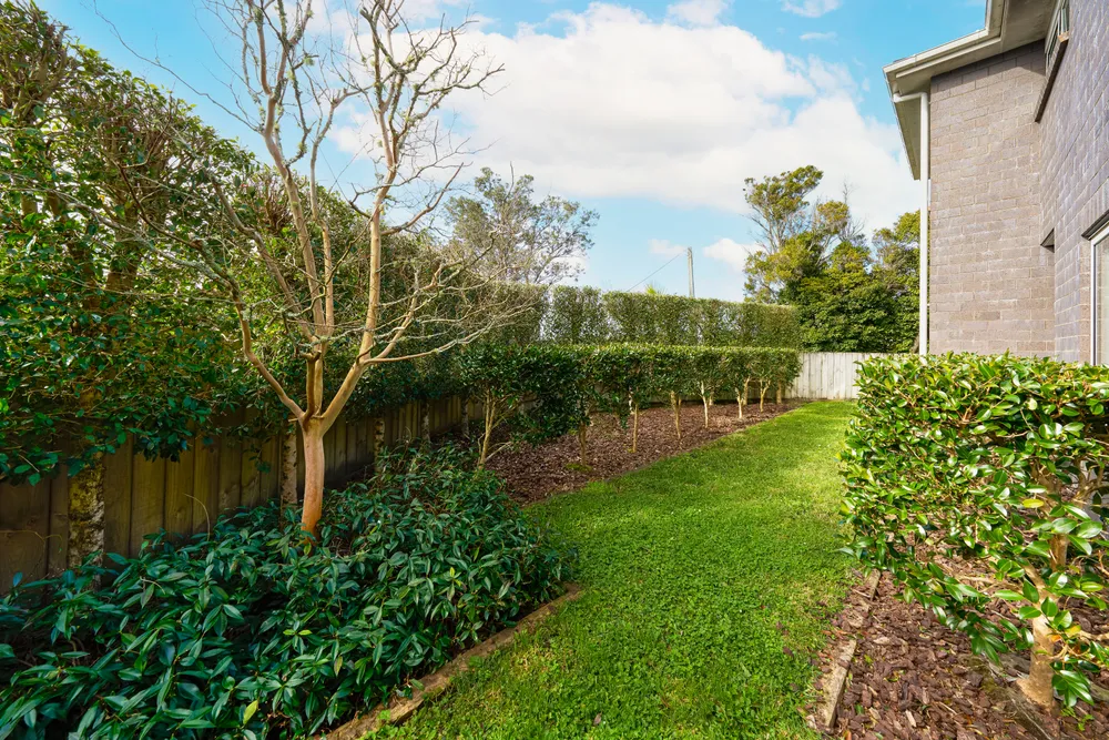 Photos of 15 Forrest Hill Road