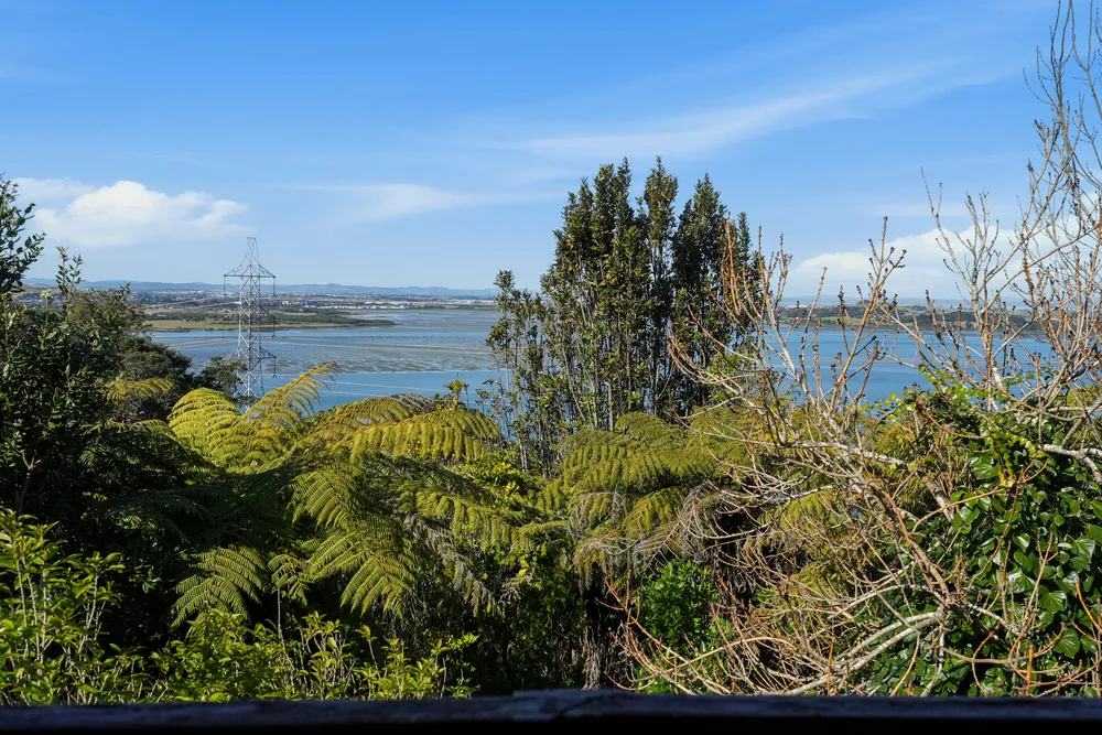 Photos of 4a Cape Horn Road