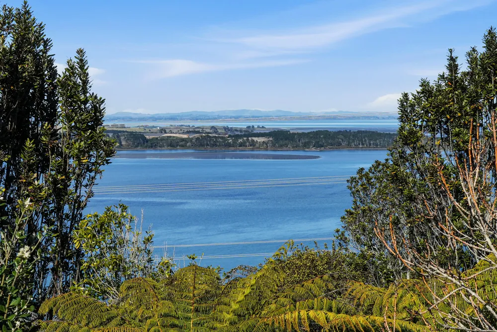 Photos of 4a Cape Horn Road