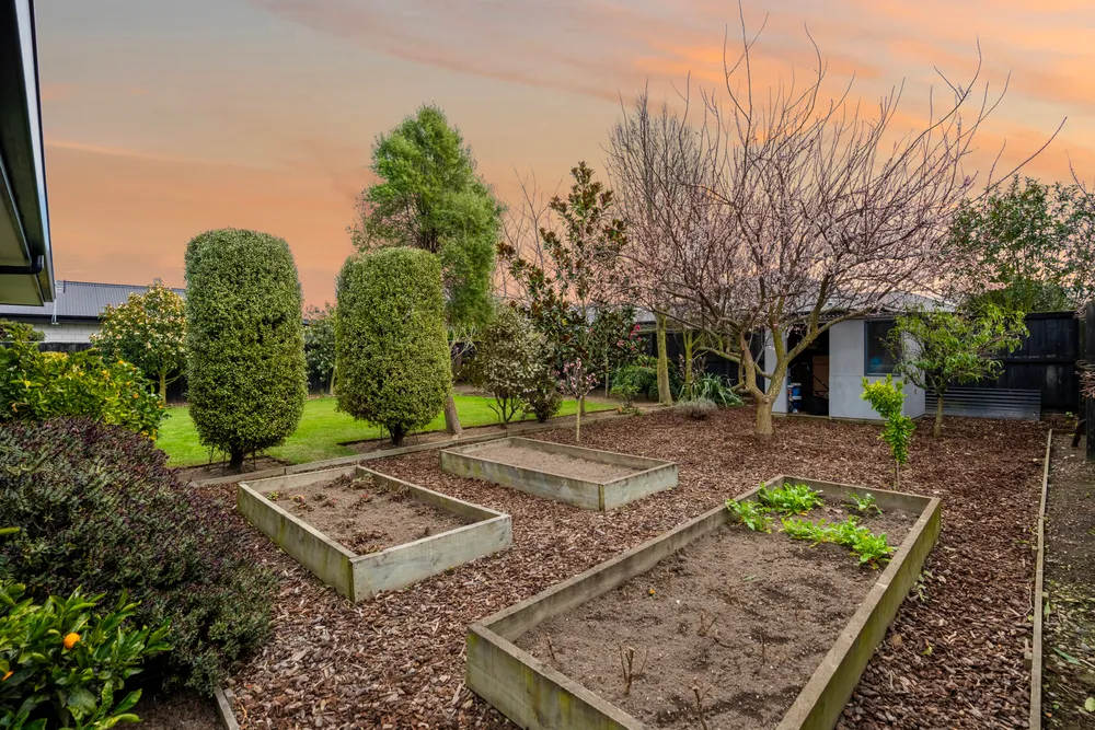 Photos of 55 Lemonwood Drive