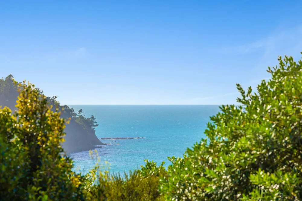 Photos of 505 Hibiscus Coast Highway