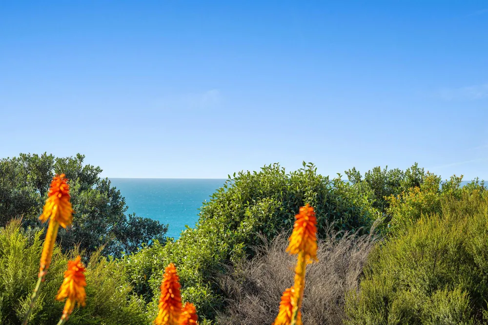 Photos of 505 Hibiscus Coast Highway