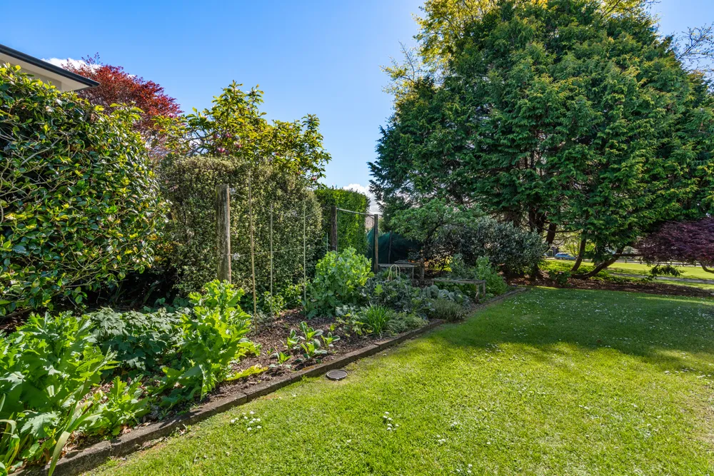 Photos of 133 Margaret Drive