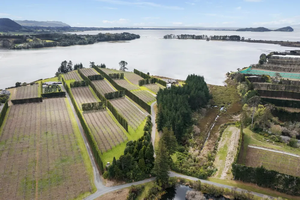 Photo of 195a Tuapiro Road, Katikati