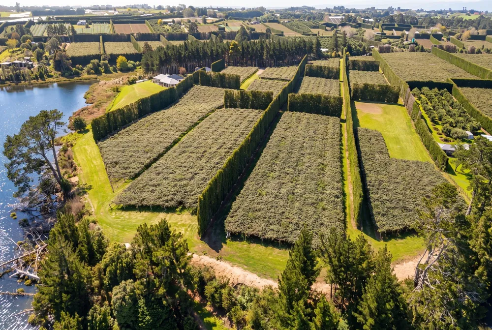 Photos of 195a Tuapiro Road