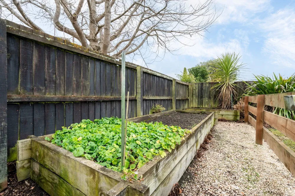 Photos of 38 Millstream Drive