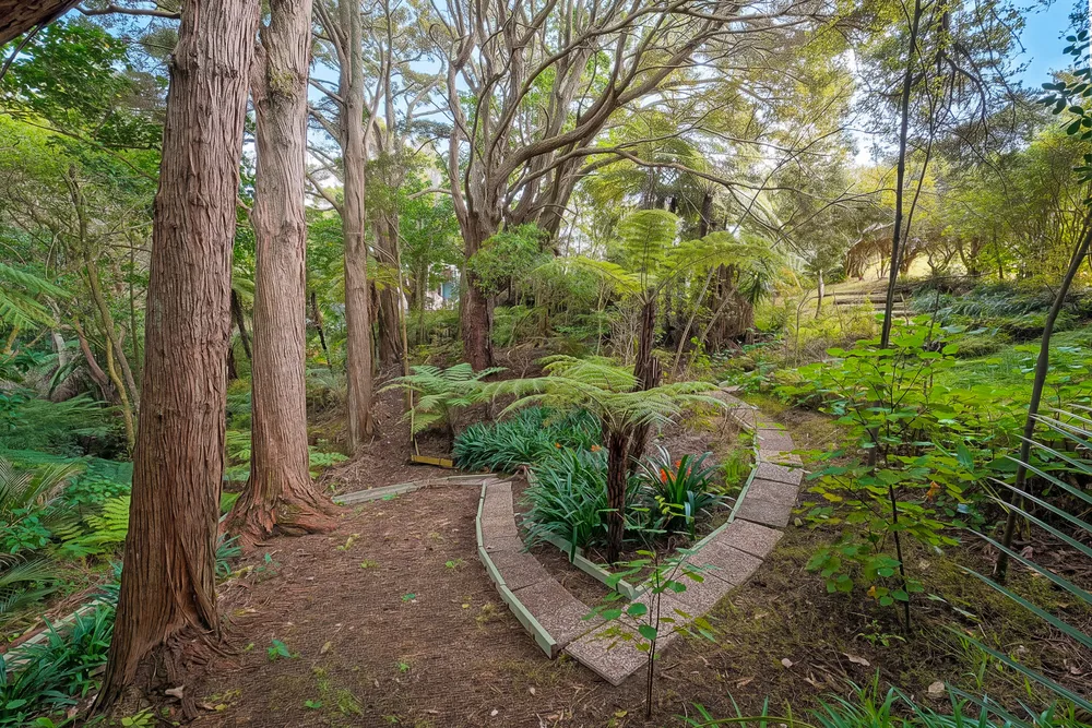 Photos of 8 Nicholson Place