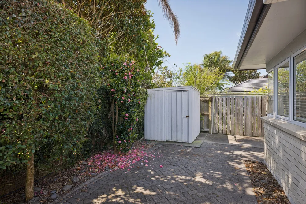 Photos of 49 Gravatt Road