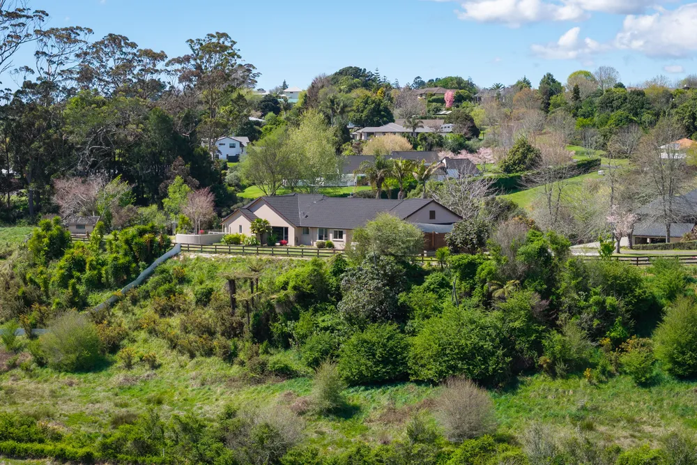 Photos of 19 Waioroi Place