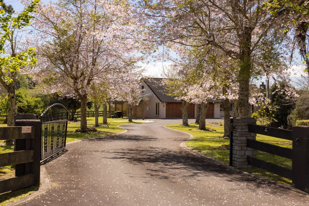 Photos of 19 Waioroi Place