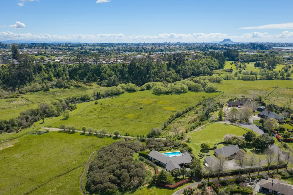 Photos of 19 Waioroi Place