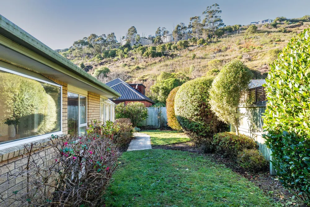 Photos of 23 Basil Place