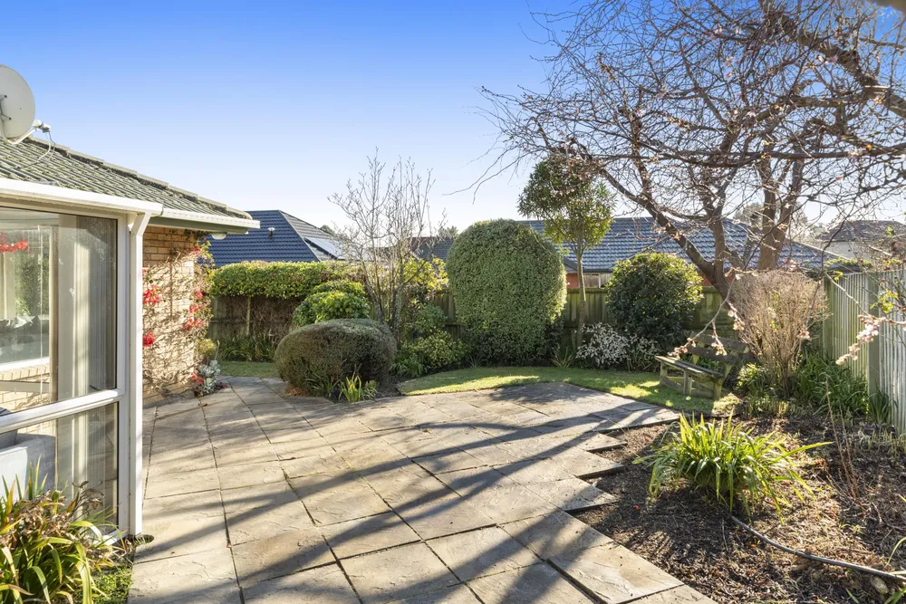 Photos of 23 Basil Place