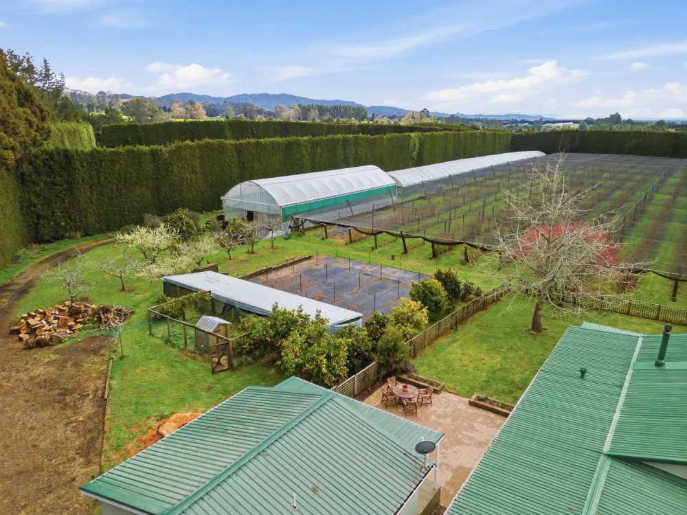 Photos of 1040 Te Matai Road