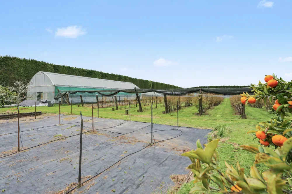 Photos of 1040 Te Matai Road