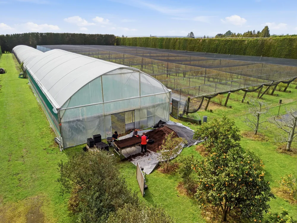 Photos of 1040 Te Matai Road