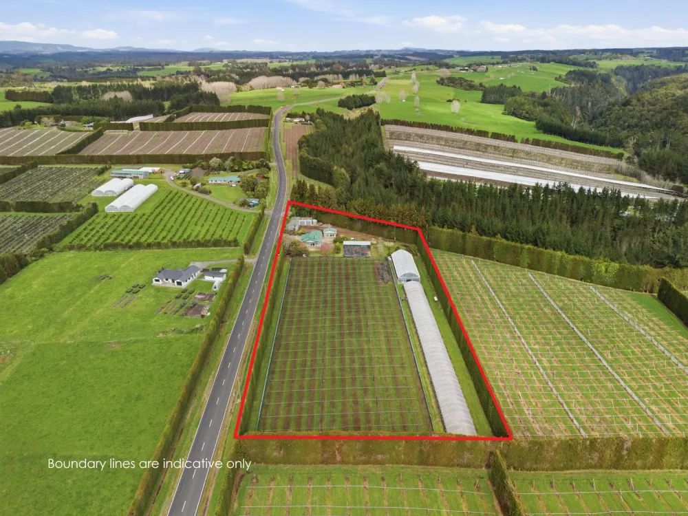 Photos of 1040 Te Matai Road