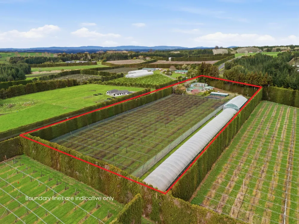 Photo of 1040 Te Matai Road, Te Puke