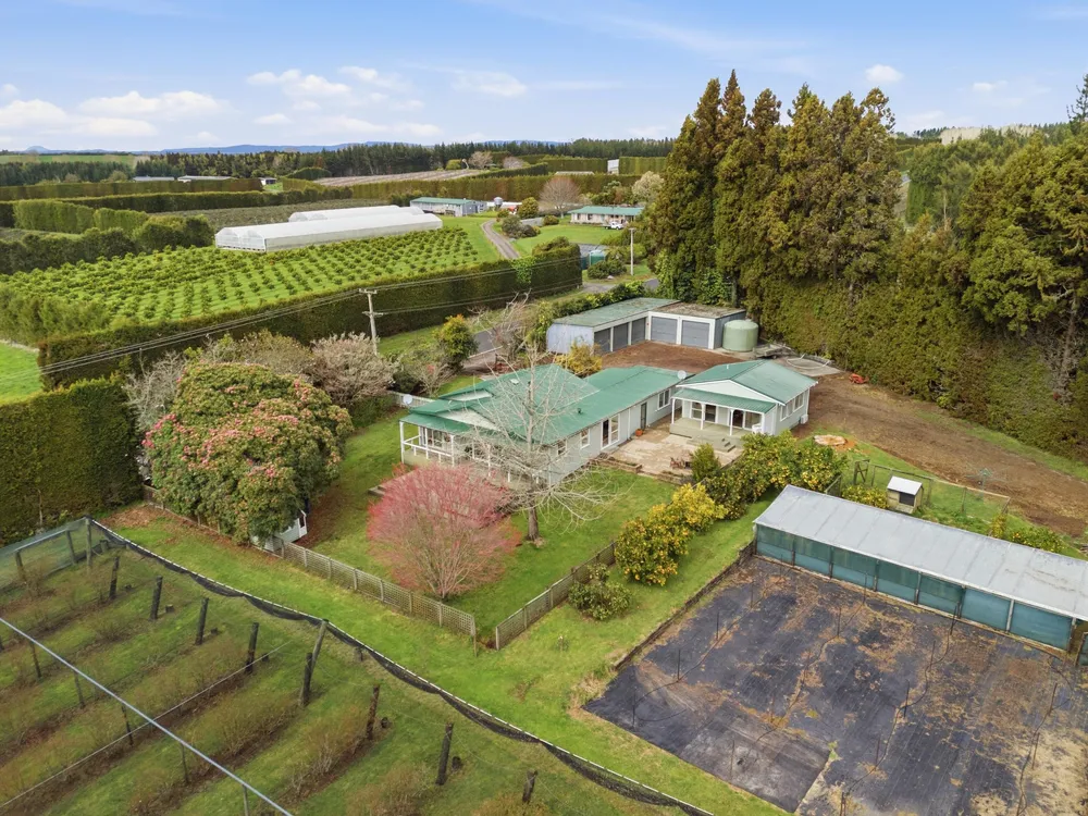 Photos of 1040 Te Matai Road