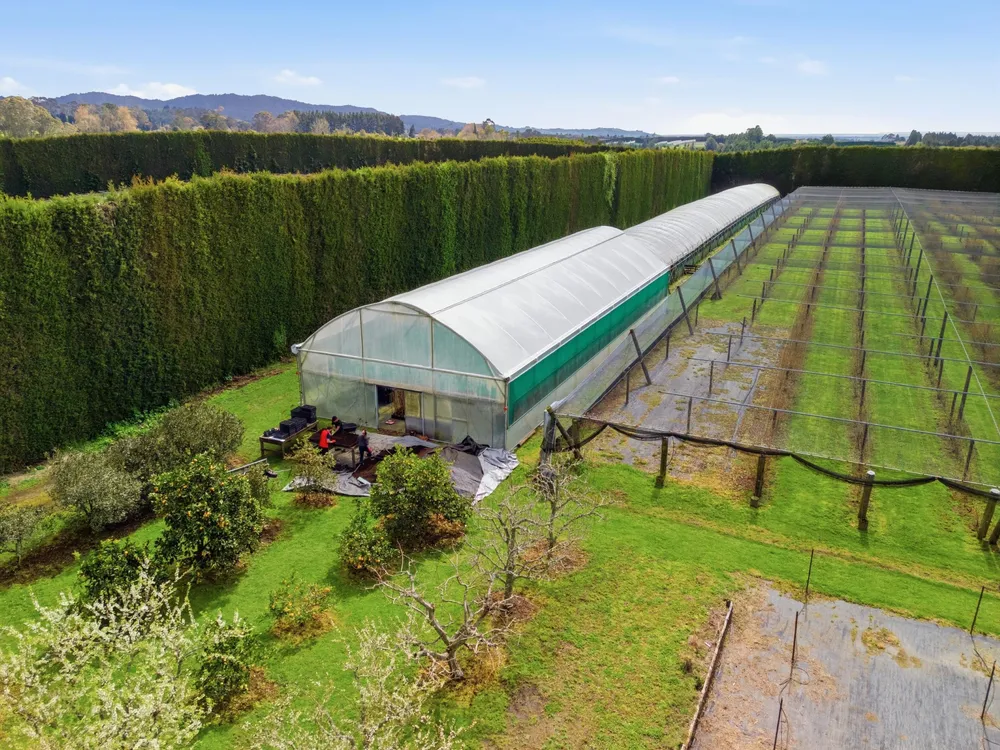 Photos of 1040 Te Matai Road