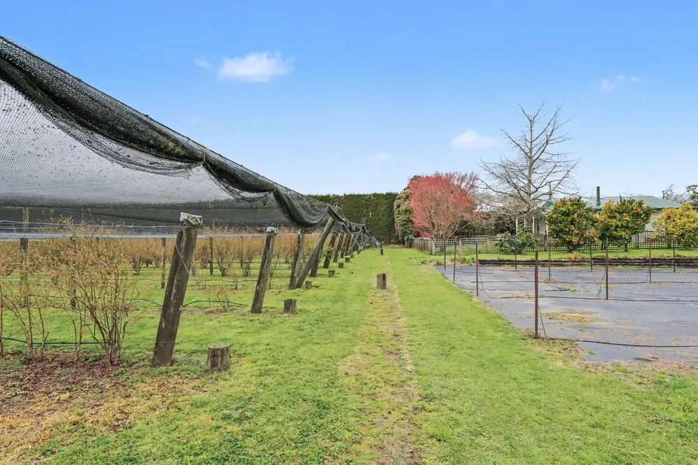 Photos of 1040 Te Matai Road