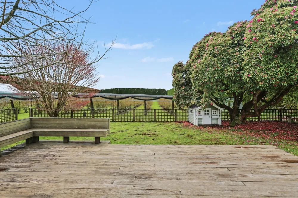 Photos of 1040 Te Matai Road