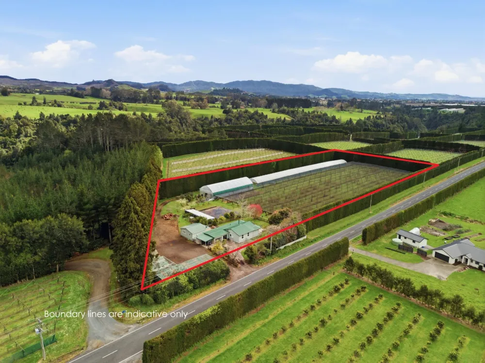 Photos of 1040 Te Matai Road