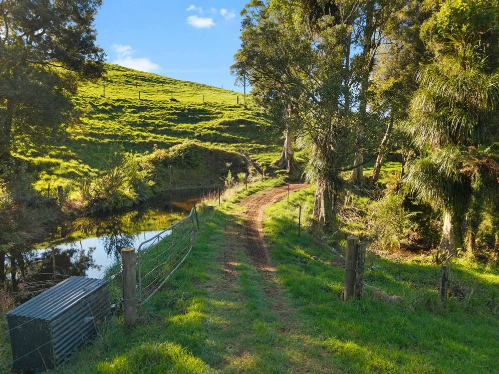 Photos of 194D Pekanui Road