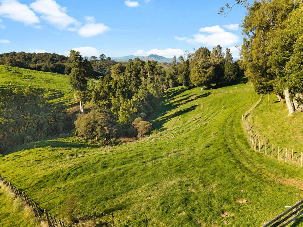 Photos of 194D Pekanui Road