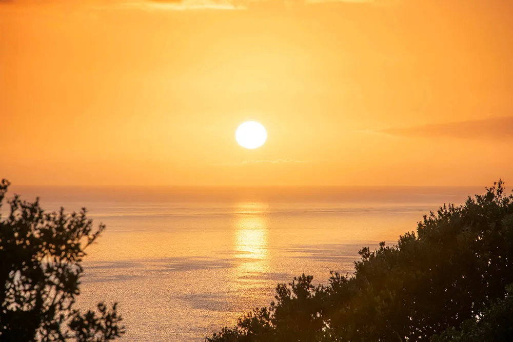 Photos of 503 Hibiscus Coast Highway