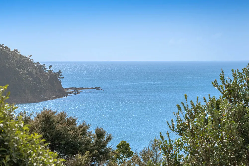 Photos of 503 Hibiscus Coast Highway