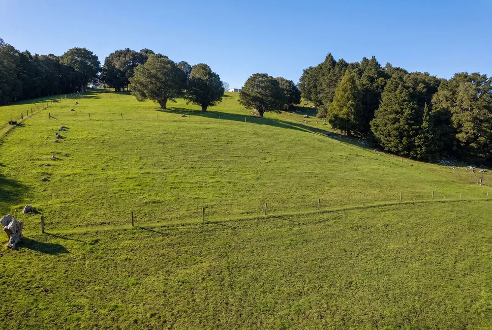 Photos of 43 Waiariki Road