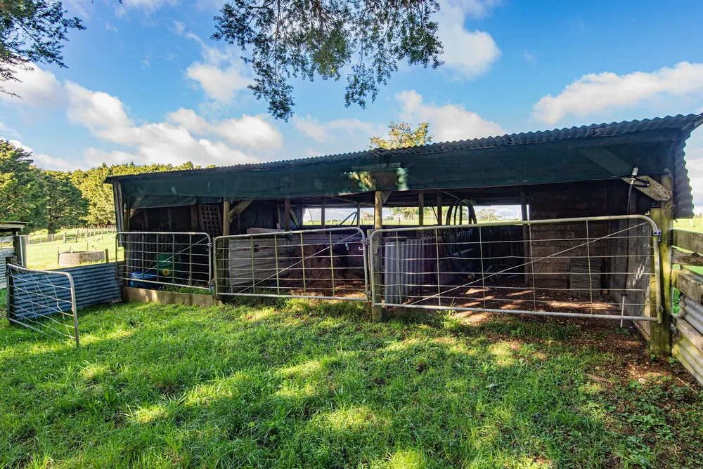 Photos of 43 Waiariki Road