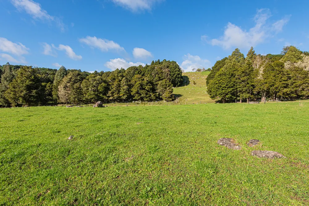 Photos of 43 Waiariki Road