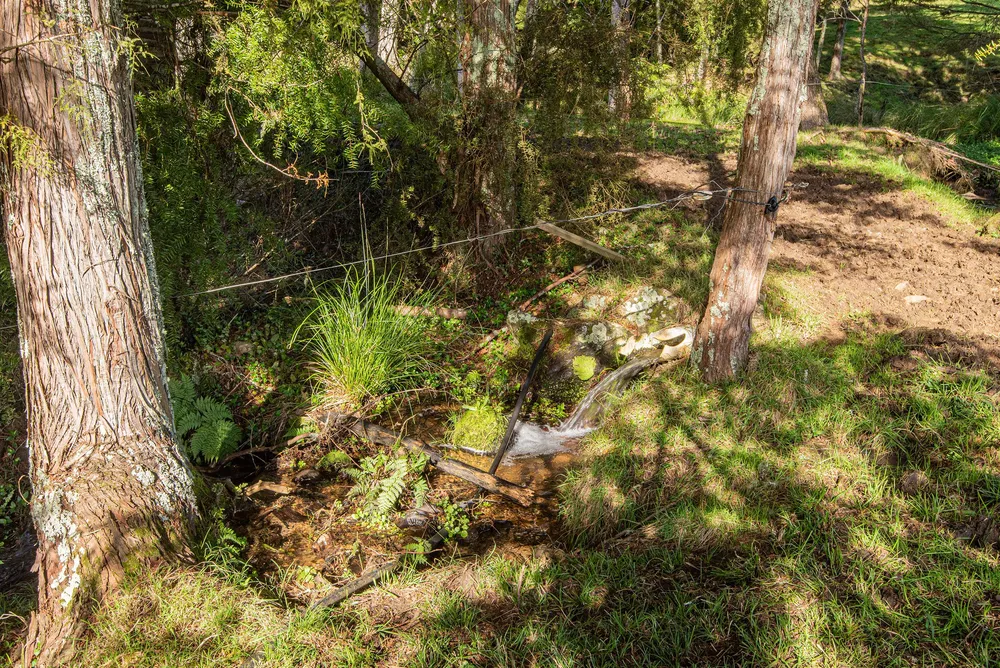 Photos of 43 Waiariki Road