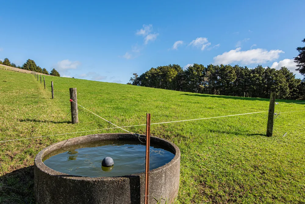 Photos of 43 Waiariki Road