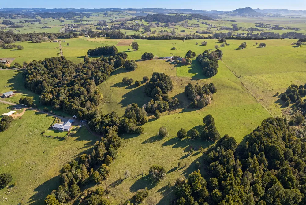 Photos of 43 Waiariki Road