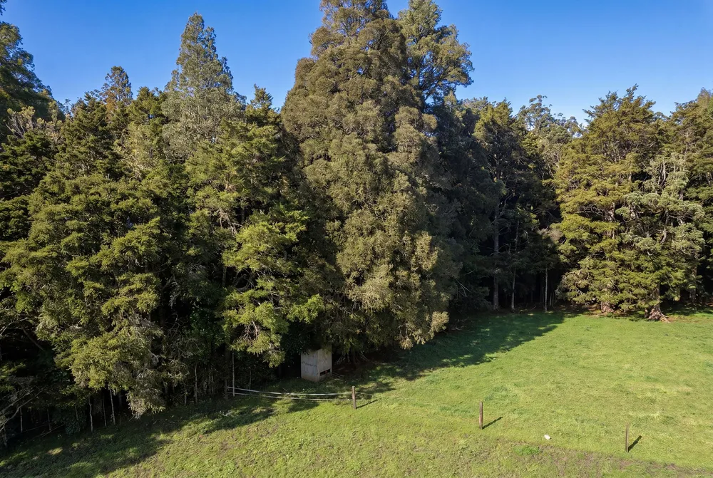 Photos of 43 Waiariki Road
